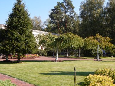 Tasarım ve Bahçe bitkileri kompozisyon manzara