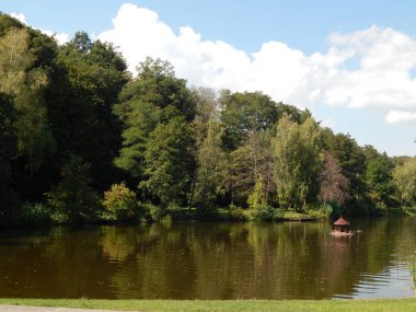 Tasarım ve Bahçe bitkileri kompozisyon manzara
