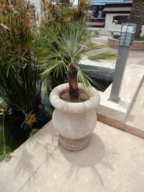 Marmaris Türk şehir Tasarla