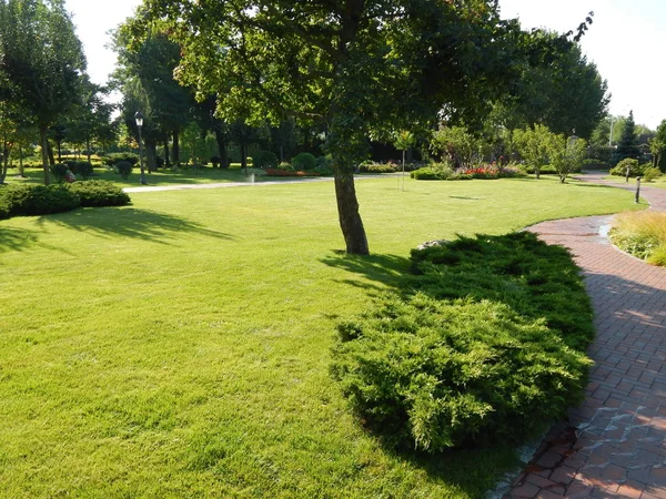 Tasarım ve Bahçe bitkileri kompozisyon manzara