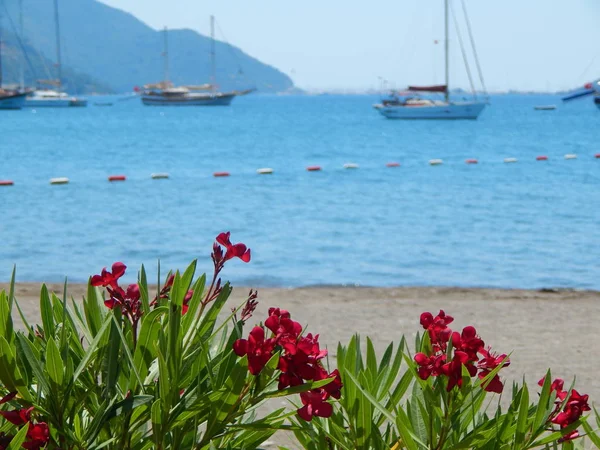 Marmaris Turquia Resort Cidade Mar Egeu — Fotografia de Stock