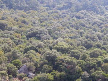 Akdeniz Ege Denizi Türkiye, Marmaris