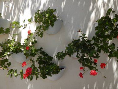 Marmaris Türkiye'nin Ege Denizi'nde Akdeniz mimarisi