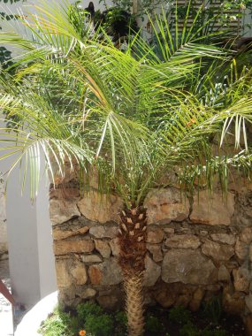 Marmaris Türkiye'nin Ege Denizi'nde Akdeniz mimarisi