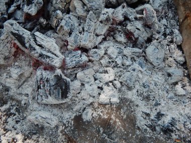 Çalı çırpı ve tahta ateş ateş yakar