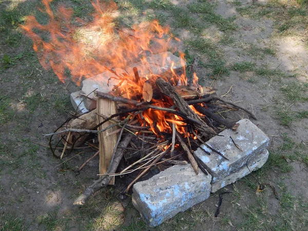 Eld Eld Bränner Kvistar Och Trä — Stockfoto