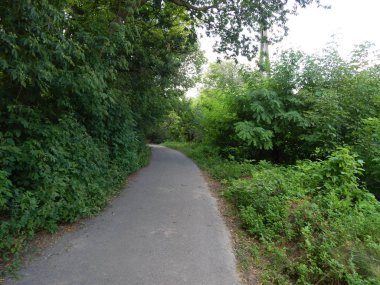 Panorama manzara doğa gündoğumu günbatımı, nehir