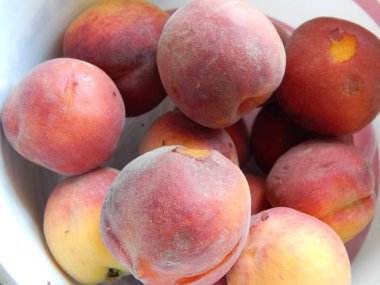 Meyve ve sebze bahçesinde gıda