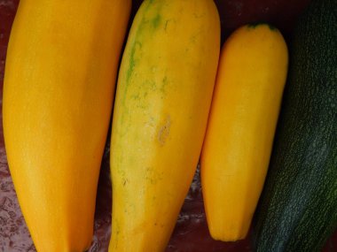 Bahçedeki hasattan sonra sarı kabak.