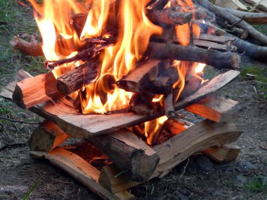 Ateş, ateş yanan odun