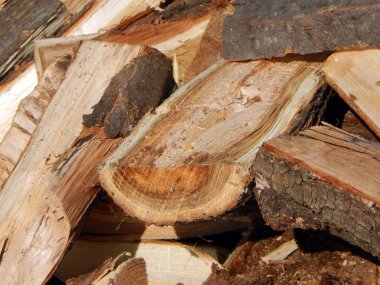 Ev güverte fırın içine Isıtma için yakacak odun