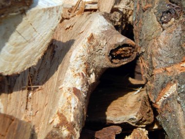 Ev güverte fırın içine Isıtma için yakacak odun