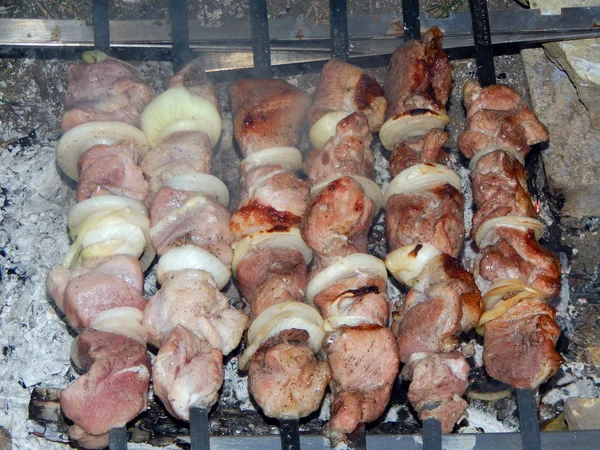 Shish Kebab Fritar Pedaços Carne Espetos Fogueira — Fotografia de Stock