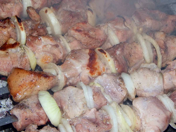 串と焚き火に肉のシシカバブ フライ部分 — ストック写真
