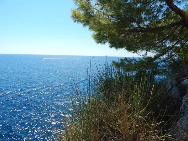 Petrovac Moru Černá Hora Cestě Jaderské Moře — Stock fotografie