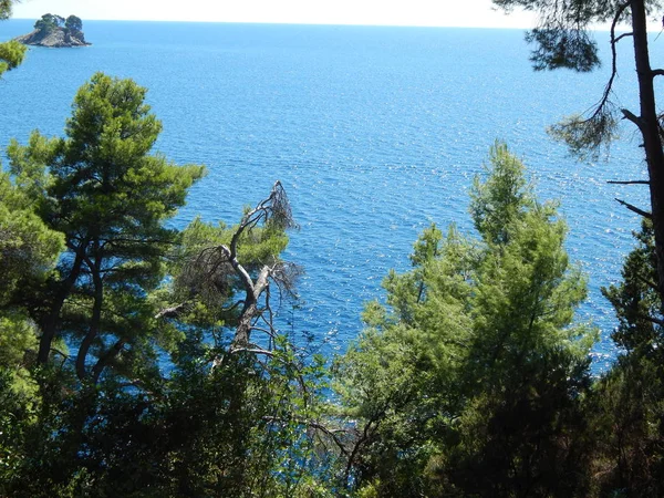 Petrovac Moru Karadağ Adriyatik Denizi — Stok fotoğraf