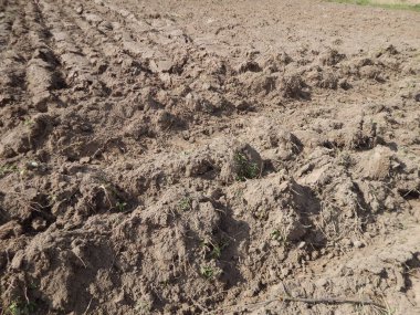 Bir pulluk alan tarafından sürülmüş arazi doku