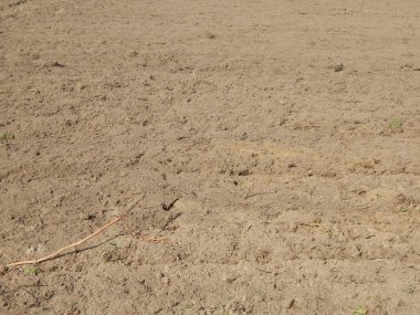 Bir pulluk alan tarafından sürülmüş arazi doku