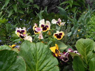 Çiçek buketi ve peyzaj tasarımı