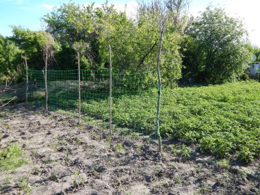 Tarım doku alanlar ve yataklar