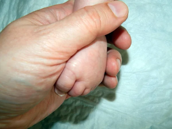 父母的手握住婴儿的小脚 — 图库照片