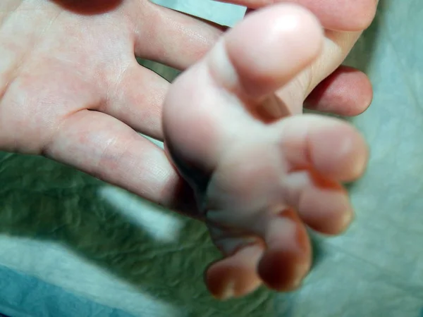 Mano Del Genitore Tiene Piede Del Bambino — Foto Stock