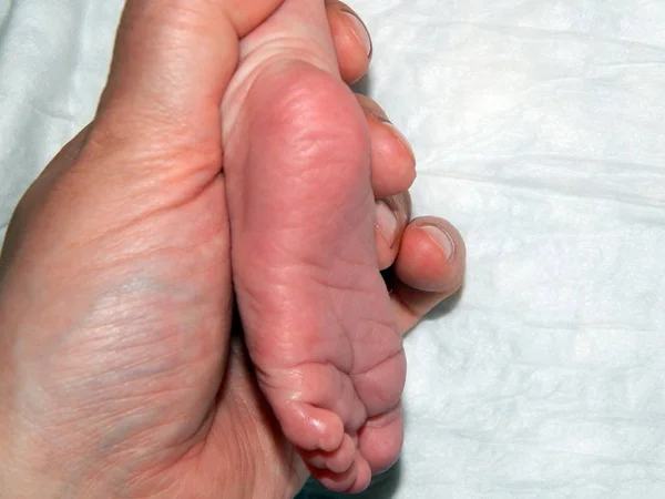 Parent Hand Holds Baby Baby Foot — Stock Photo, Image