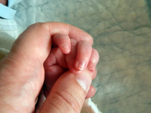 Χέρι Του Ένα Παιδί Και Έναν Ενήλικα — Φωτογραφία Αρχείου
