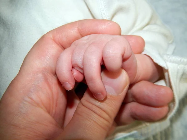 Hand Van Een Kind Een Volwassene — Stockfoto