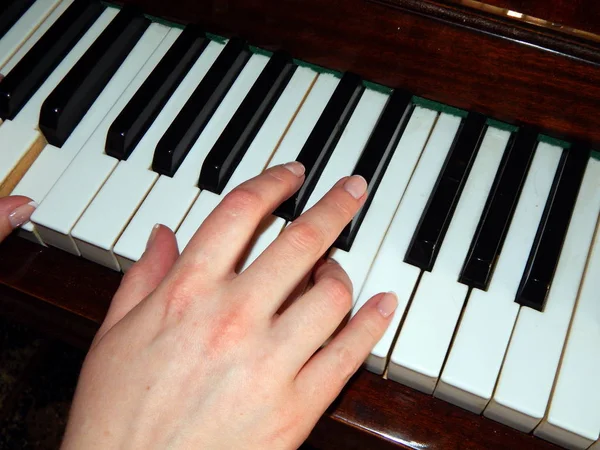 Pianotangenter Hand Personer — Stockfoto