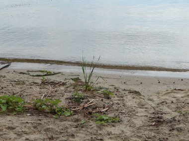 Nehir Manzaralı plaja Panoraması