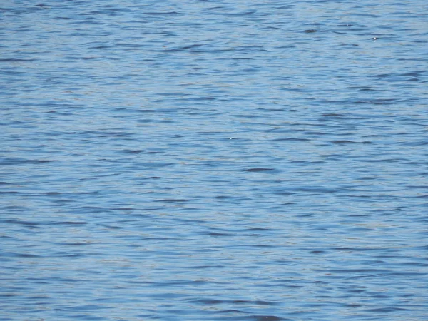 Textura Agua Río Ondulaciones Azules — Foto de Stock