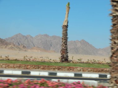 Resort city ve Mısır Sharm El Sheikh otelleri dinlenme