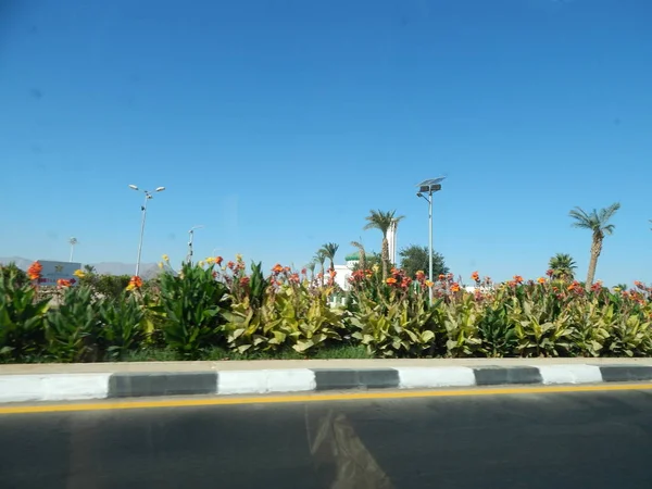 在埃及沙姆沙伊赫的度假城市和酒店中休息 — 图库照片