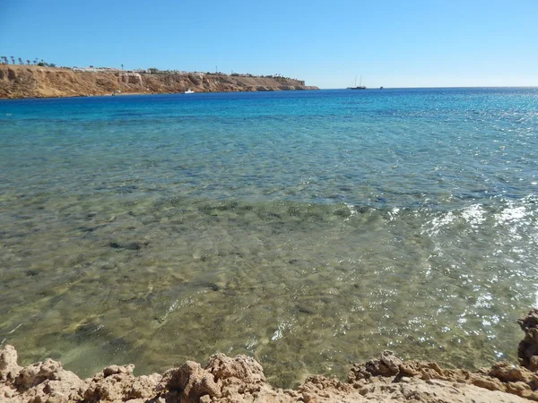 Playas Naturales Del Resort Egipto Sharm Sheikh —  Fotos de Stock