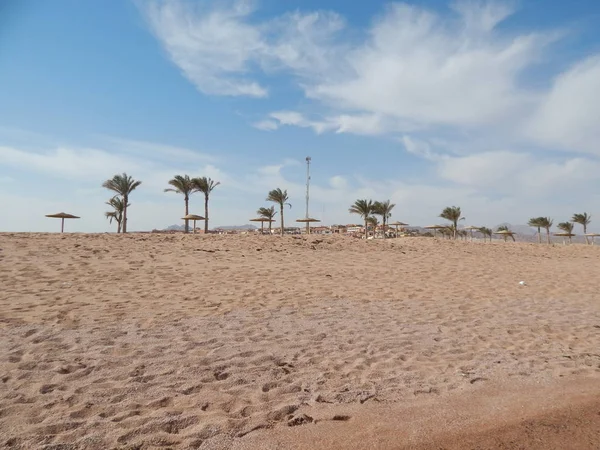 Naturstrände Des Resorts Ägypten Sharm Sheikh — Stockfoto