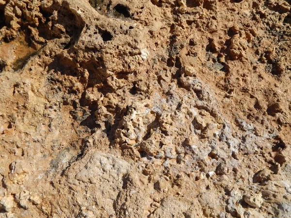 Textura Piedra Mar Rojo Egipto —  Fotos de Stock