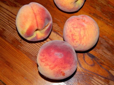 Natürmort tabak yemek gıda home