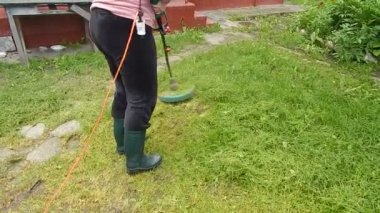 Çiçekler ve Peyzaj Bahçe tasarımı 