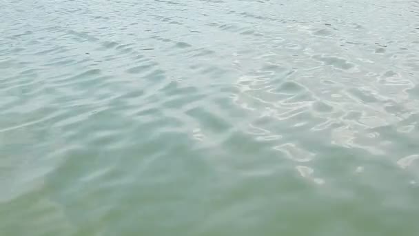 Textura Del Agua Sobre Lago Río Verano — Vídeo de stock