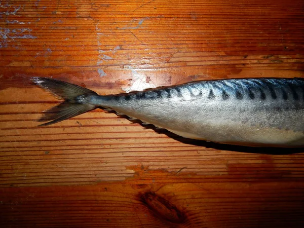 Poisson Fumé Chaud Froid Sur Table — Photo