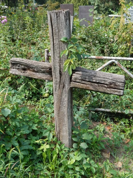 Kreuze Auf Gräbern Und Zäunen — Stockfoto