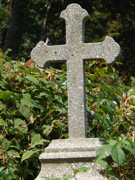 Kruisen Graven Begraafplaats Hekken — Stockfoto