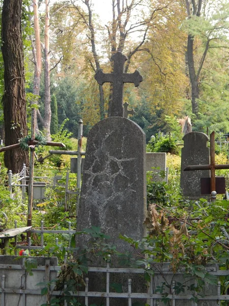 Kříže Hřbitov Ploty — Stock fotografie