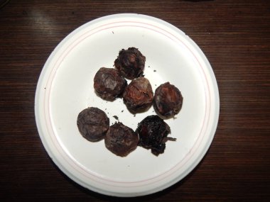 Büyüyen ve evde pişmiş çeşitli gıda