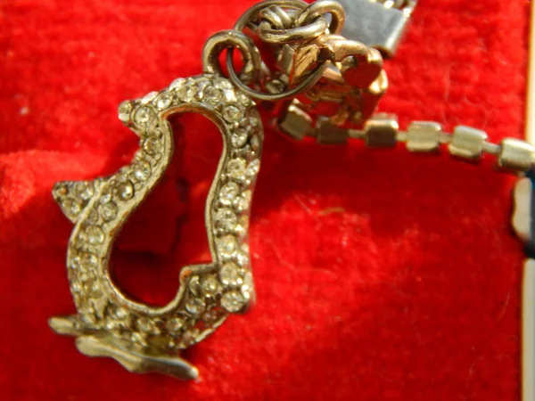 Κοσμήματα Κοσμήματα Δαχτυλίδια Αλυσίδες Και Κοσμήματα Μόδας — Φωτογραφία Αρχείου