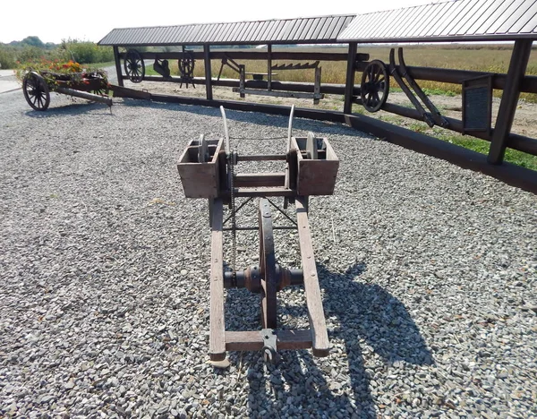 Ferme Buffles Pâturage Buffles Cage Plein Air — Photo