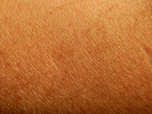 Human Skin Texture Various Parts Body — Stock Photo, Image