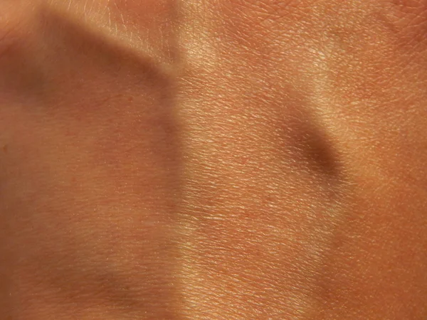Tekstura Skóry Ludzkiej Różnych Częściach Ciała — Zdjęcie stockowe