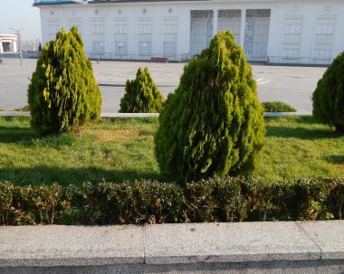 Bahçe park peyzaj tasarım öğeleri Mimarlık